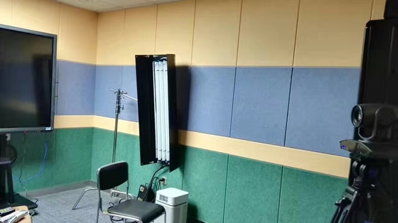 I pannelli di parete acustici della colata di 40% del poliestere basso della fibra rendono incombustibile i pannelli sani acustici